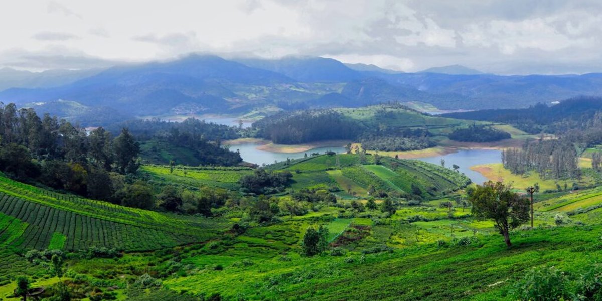 Ooty (Sep 16-19)