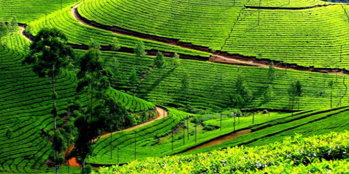 Munnar